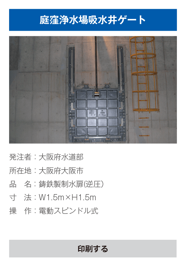 鋳鉄製電動式制水扉