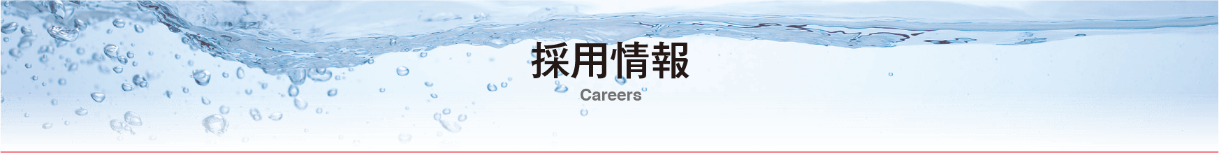 企業情報。水・人・自然の和の創出にSAITOHは歩み続けます。